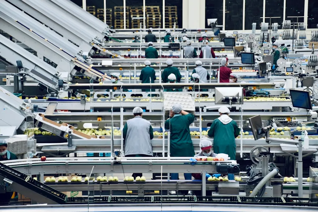 食品工場内の作業員たちが自動化された生産ラインで食品加工作業を行う様子
